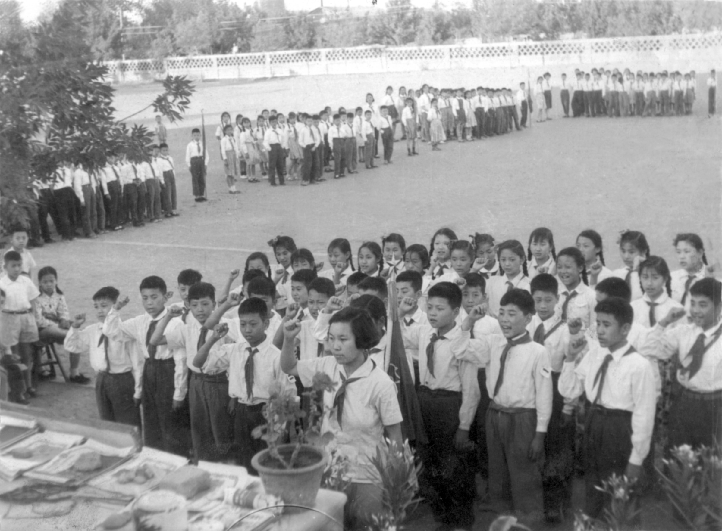 1959年6月1日，红领巾班—六（3）班在队旗下宣誓